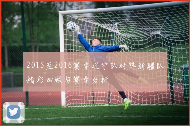 2015至2016赛季辽宁队对阵新疆队精彩回顾与赛季分析