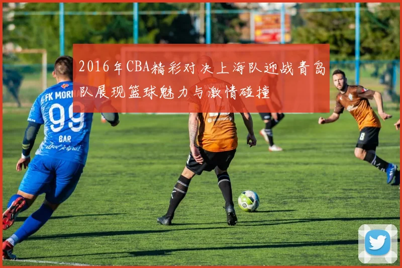 2016年CBA精彩对决上海队迎战青岛队展现篮球魅力与激情碰撞
