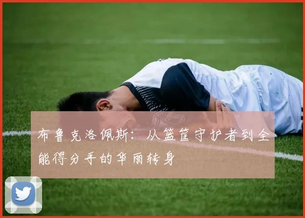 布鲁克洛佩斯：从篮筐守护者到全能得分手的华丽转身