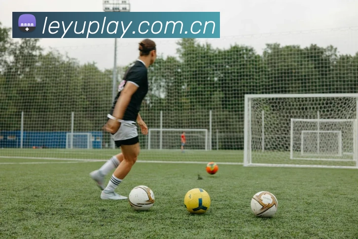 乐鱼体育平台生态图